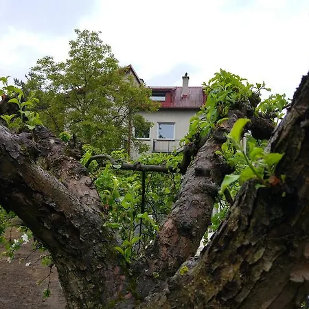 Privatunterkunft Rent0Nline Brwinow Rooms *